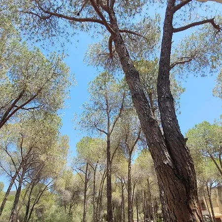 Villa Capitana Holiday home *