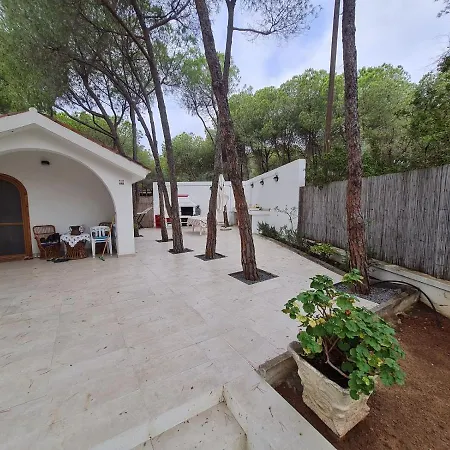 Prázdninový dům Villa Capitana *